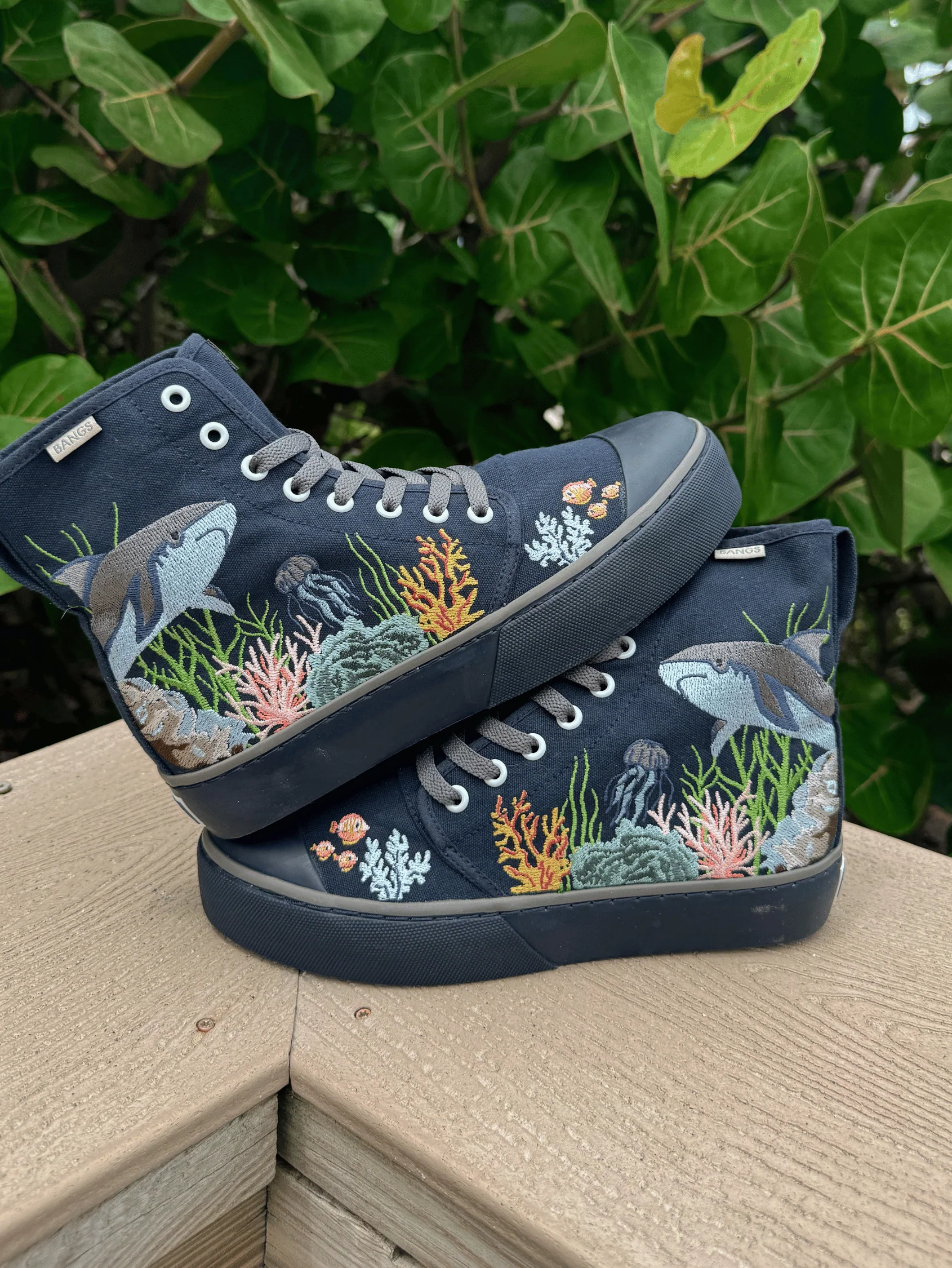Coral Explorer Platform High Top
