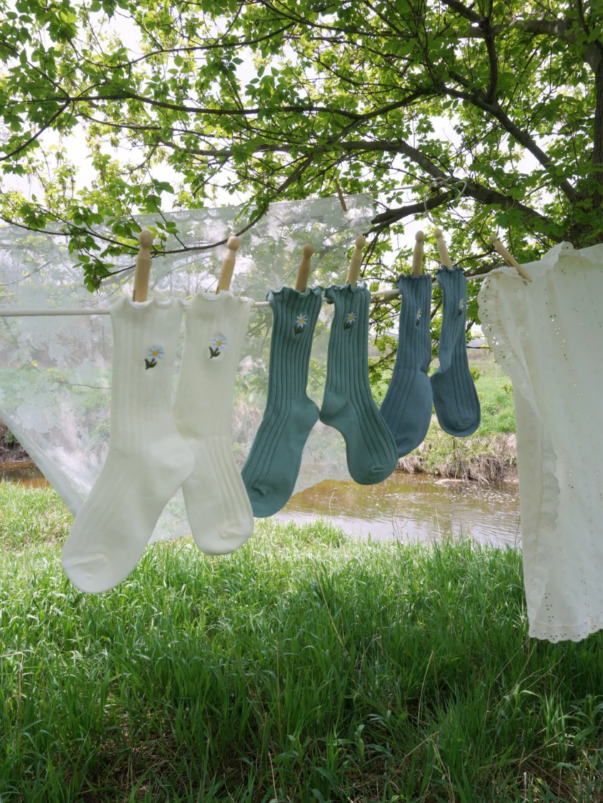 Daisy Delight Sock Bundle