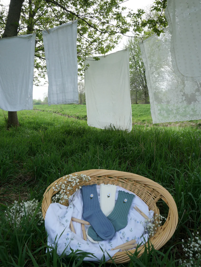 Daisy Delight Sock Bundle