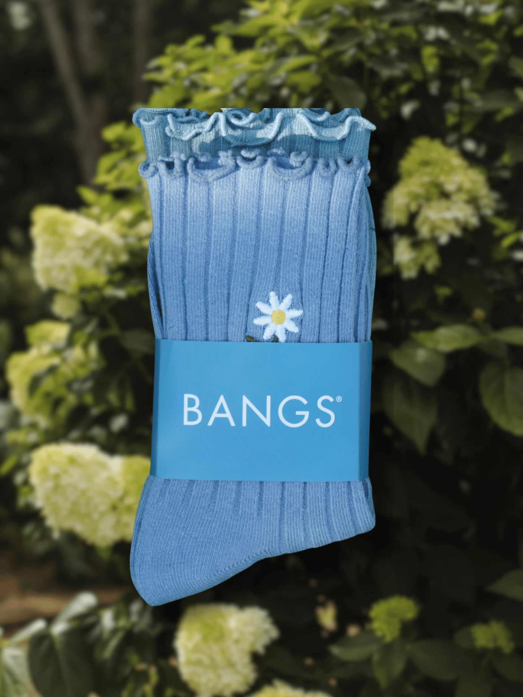Daisy Duo Sock Bundle