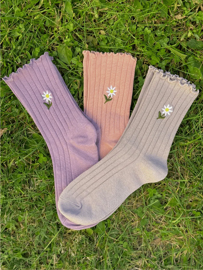 Daisy Magic Sock Bundle