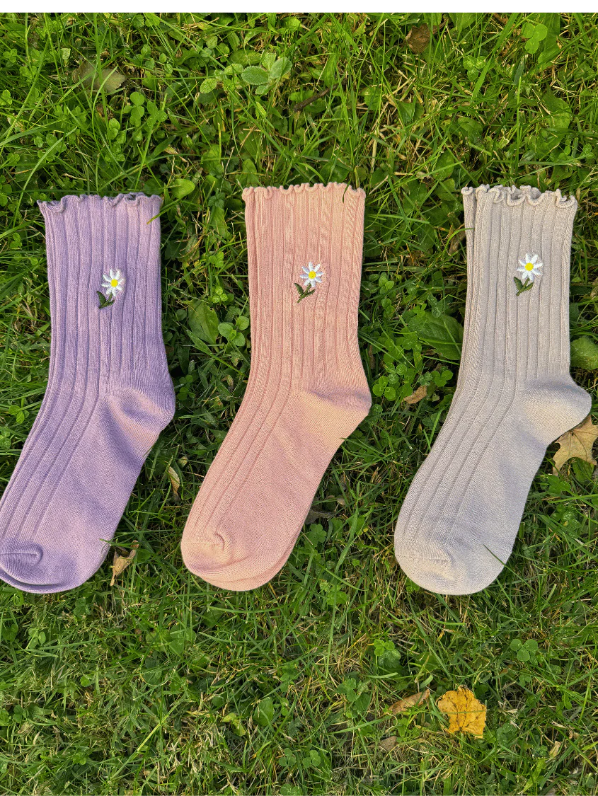 Daisy Magic Sock Bundle